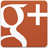 Google+ Your Business icon