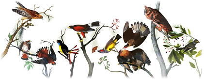 226º Aniversário de John James Audubon