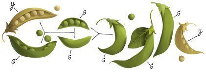 189º Aniversário de Gregor Mendel