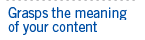 Grasps the meaning of your content