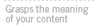 Grasps the meaning of your content