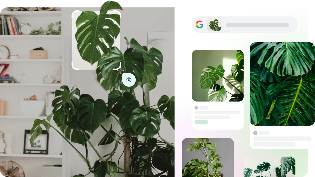 O Google Lens é usado para identificar uma mala em uma página da web e, no app Câmera, uma raça de cachorro e uma planta.