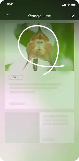 Sur un site de décoration intérieure présentant une image d'une fleur unique, un utilisateur d'iPhone ouvre les outils de la page et sélectionne