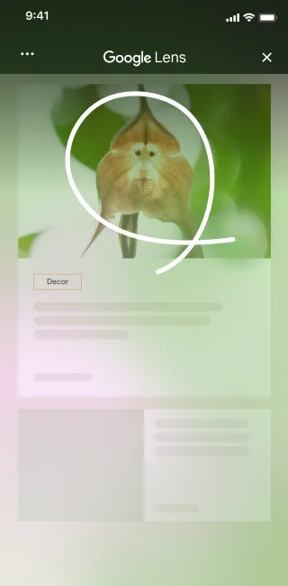 On a home furnishing site with an image of a unique flower, an iPhone user opens the page tools and selects \'Search screen\'